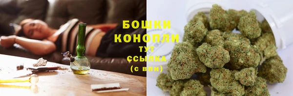 круглые Вяземский