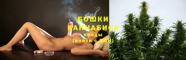 круглые Вяземский
